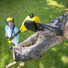 Best Lawn Watering Services  in Kingston, WA