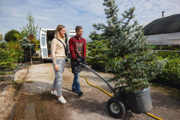 Best Tree Maintenance Programs  in Kingston, WA